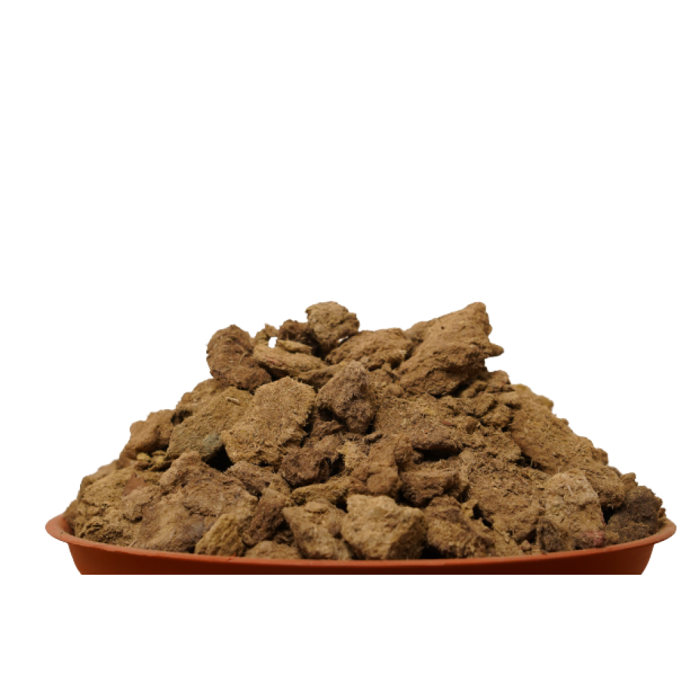 Groundnut Cake Natural Fertilizer - Cocogarden online store