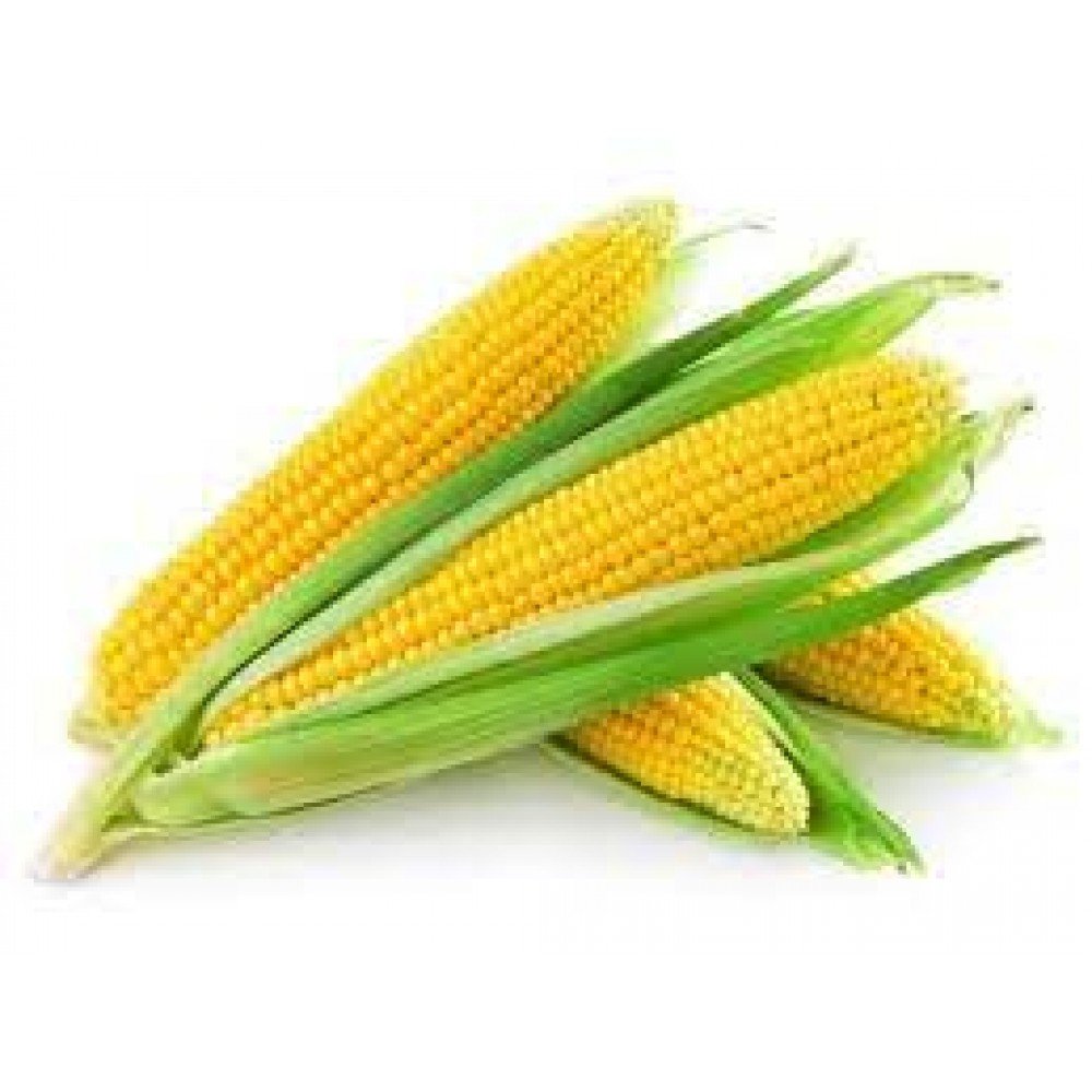 Sweet Corn Seeds